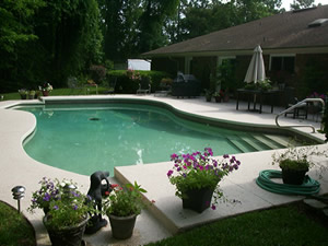 Before Pool Renovation