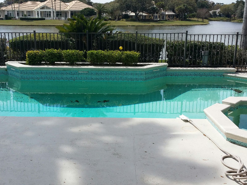 Before Pool Renovation